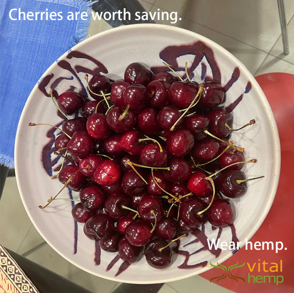 cherries are worth saving. wear hemp.