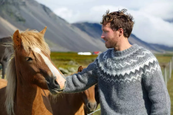 Handknitted Icelandic wool sweaters for men
