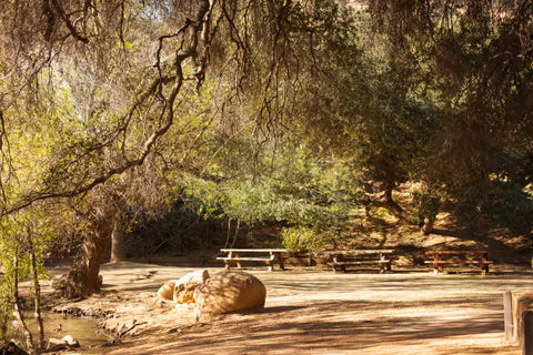 Franklin Canyon Site Trail