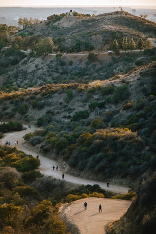 The Canyon Loop Trail