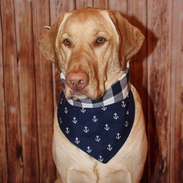 anchor dog bandana