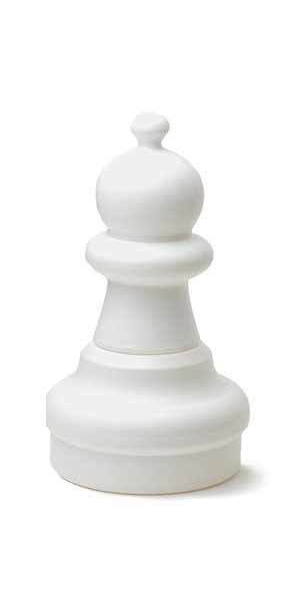 Ceramic Black and White Rook Chess Piece Salt and Pepper Shakers, Home –  kevinsgiftshoppe