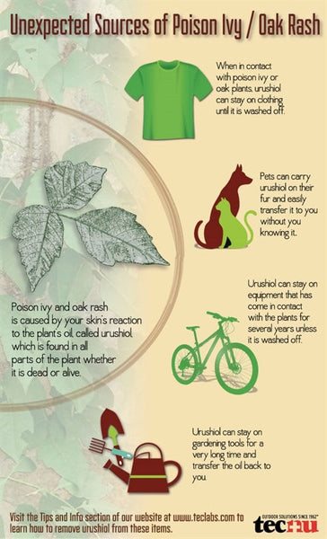 Poison Ivy Infographic