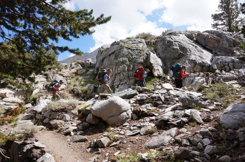 Group of Hikers