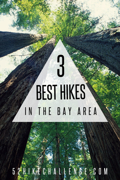 the best hikes in the Bay Area
