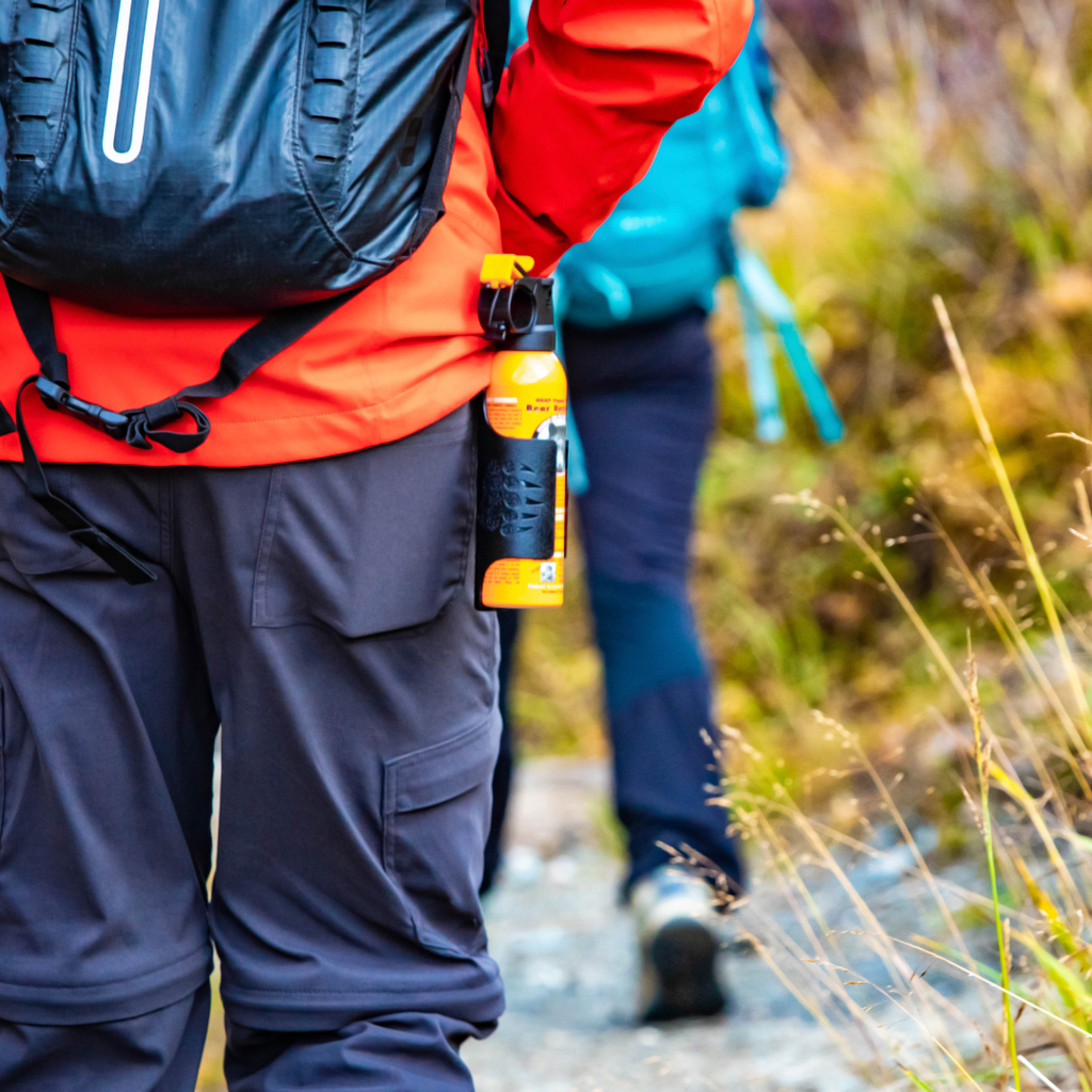 Beyond The 10 Essentials: Do You Have This Hiking Gear in Your Daypack