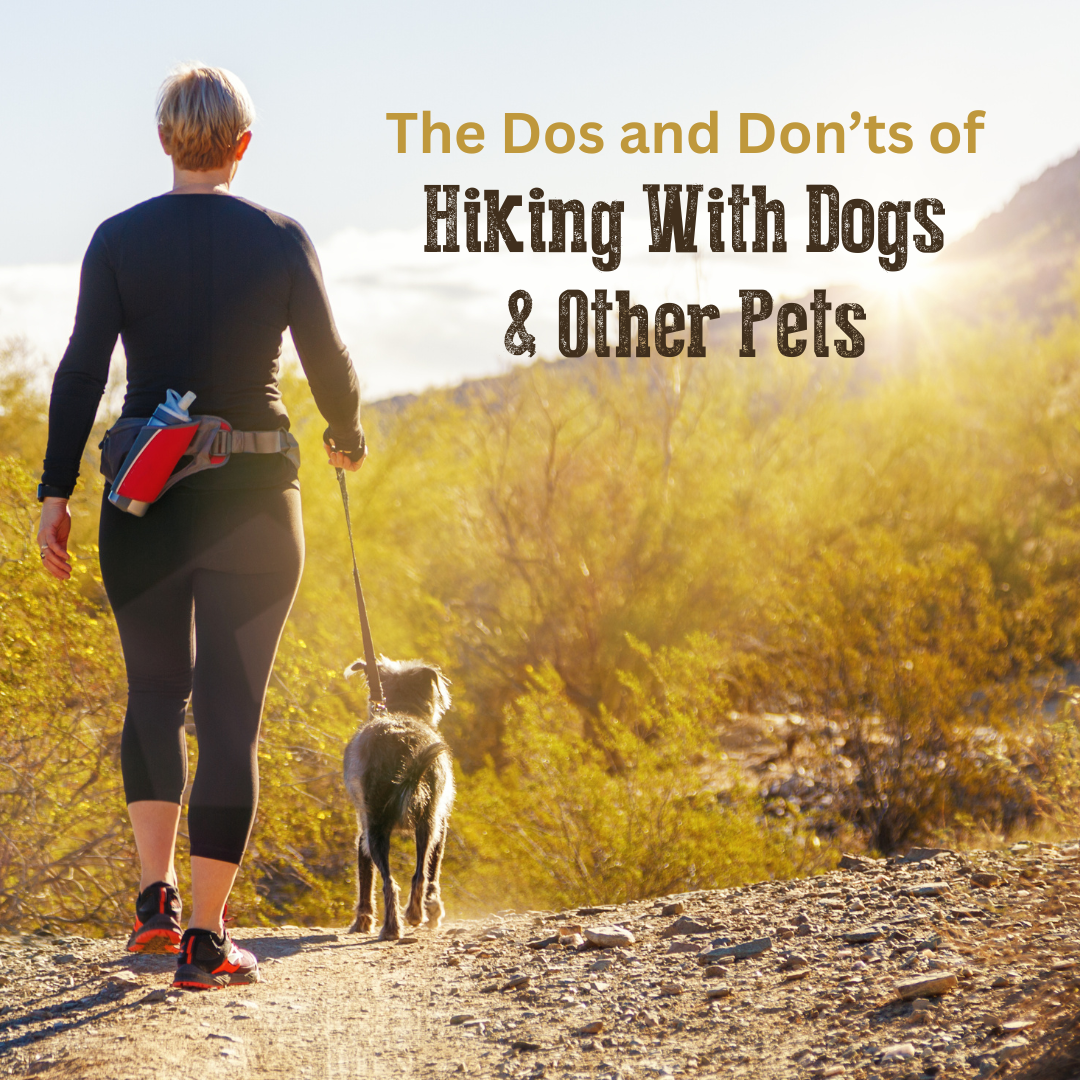 Hiking With Dogs & Pets - Hiking Tips & Trail Guidelines