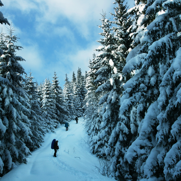 Winter Hiking