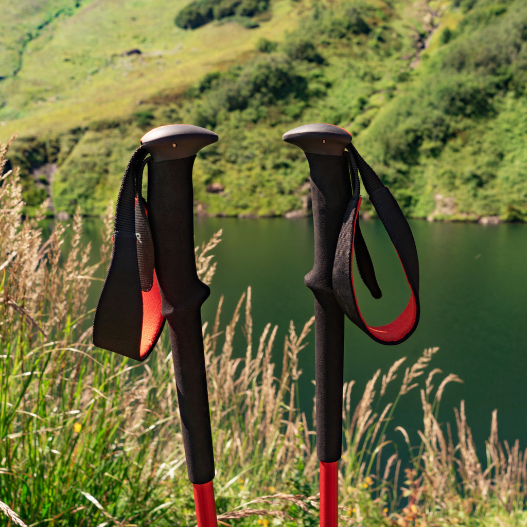 Types of Trekking Poles