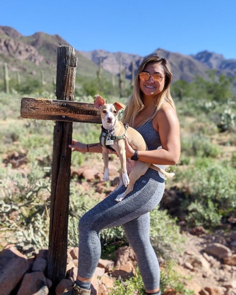 dogs and hiking