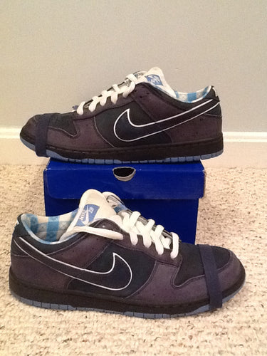 nike sb blue box