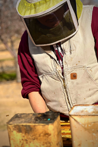 Beekeeper Feeding Hives