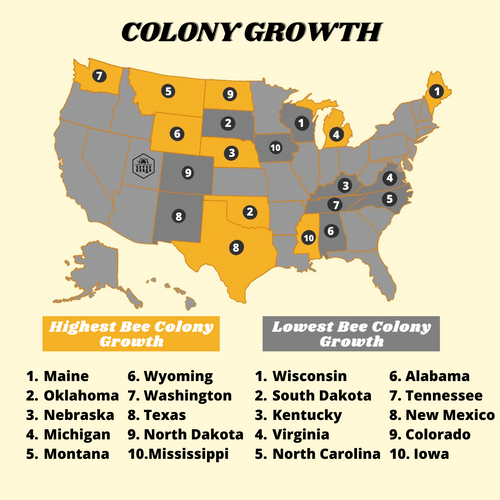 United States Bee Colony Growth