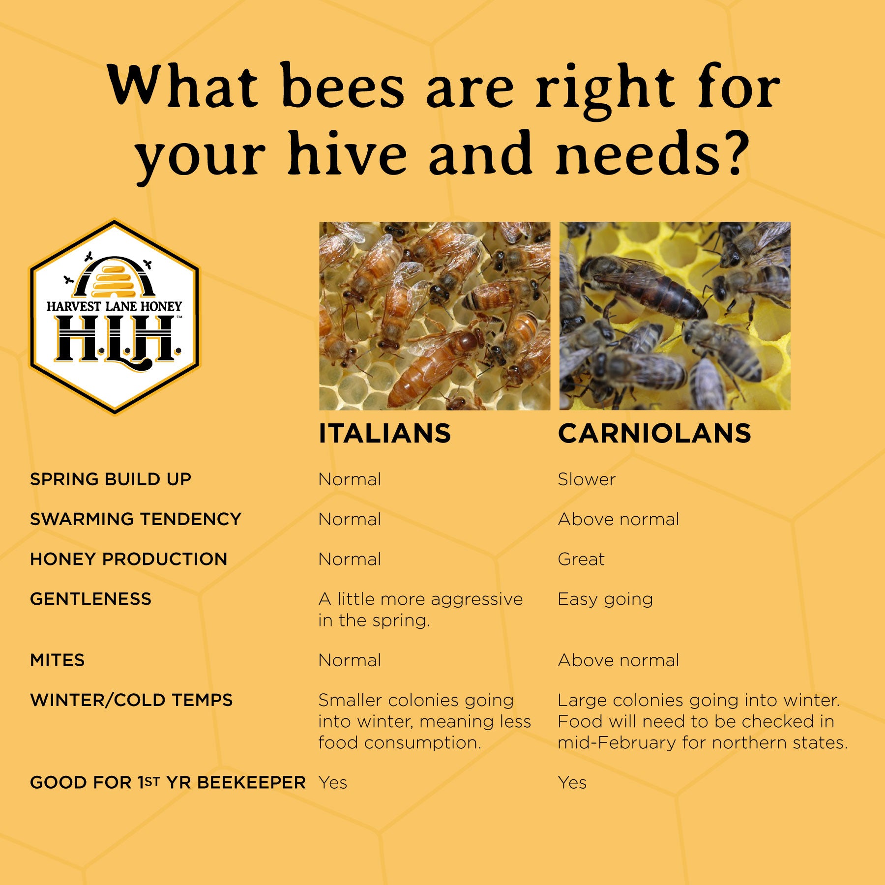 What bees are right for you?