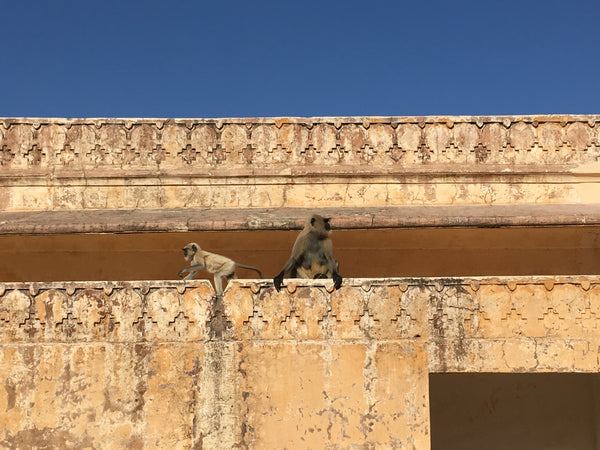 Jaipur India