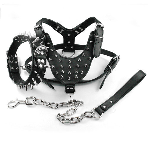 dog collar harness and leash set