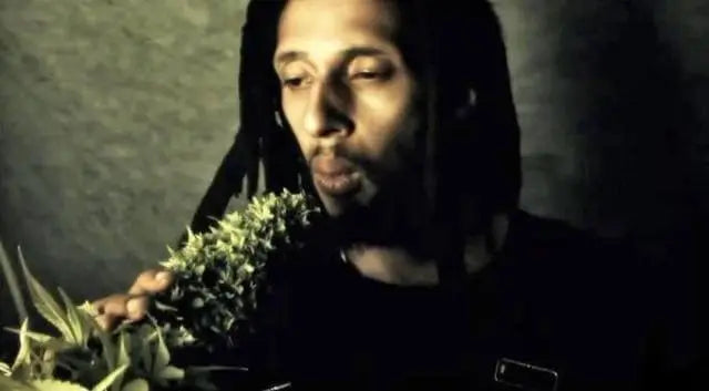 Bob Marley's Children: Julian Marley