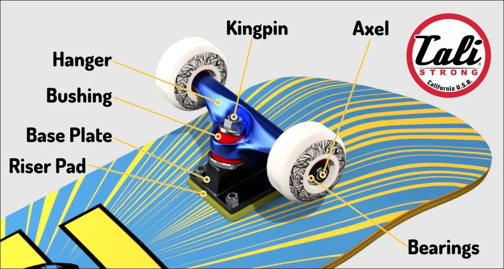 Skateboard Truck Part Diagram:Riser Pad, Base Plate, Bushing, Hanger, Kingpin, Axel, Bearings