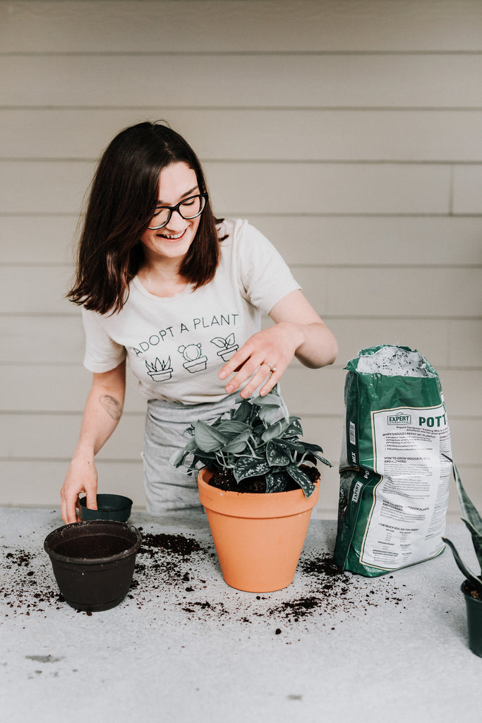 plant lady, tshirt, tee, women's fashion, 3 best houseplants for beginners, easy indoor house plant care, green thumb, diy