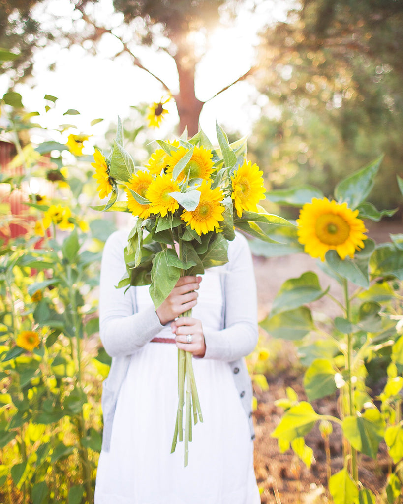 flower farmer, sunflowers, summer, yellow, sunny, bouquet, farmer, grow, fresh cut, florals