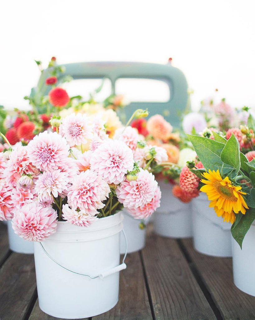 flowers, flower farmer, farmers market, canada, floral, truck, vintage, summer, gardener, start up, woman owned, small business, local, fresh, pink, spring