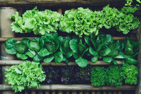 Embrace green leafy vegetables