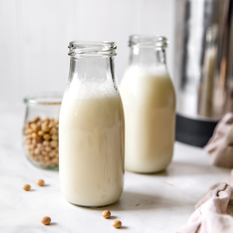 Homemade Soy Milk Recipe | Almond Cow Recipes