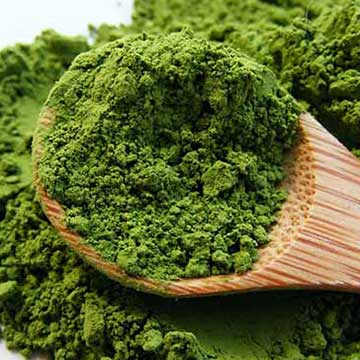 Matcha powder