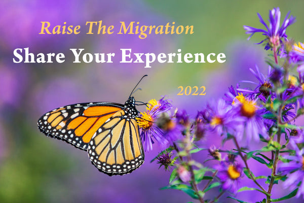 Raise the Migration 2022- Share Your Experience Raising Monarch Butterflies