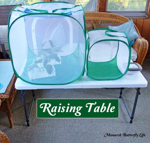 Adjustable Butterfly Cage Tables for Elevating Caterpillar Cages- Raise Monarchs