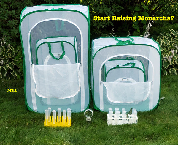 Pop Up Mesh Butterfly Cages- Which size caterpillar cage fits your raising butterflies needs?