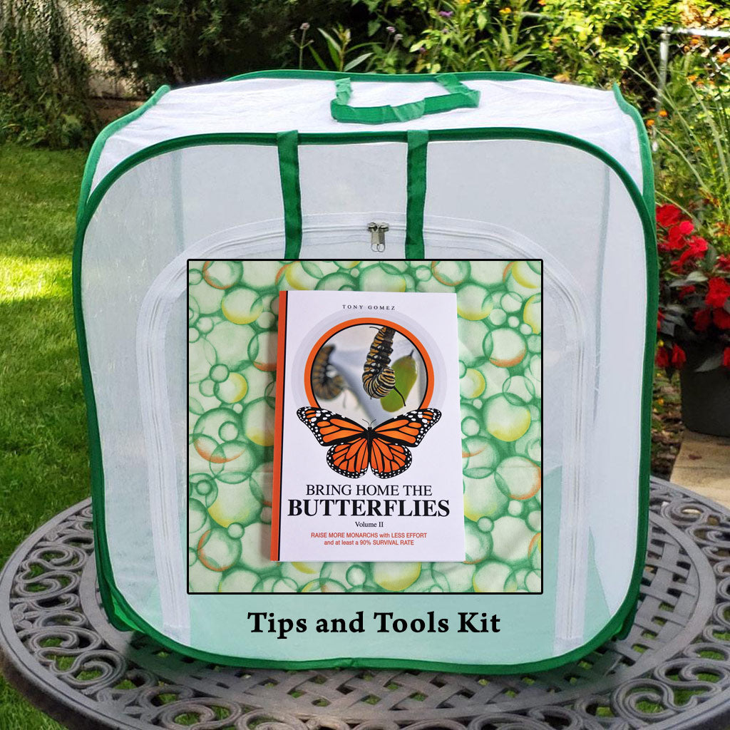 Monarch Butterfly Kits to Raise Baby Caterpillars into Butterflies – Monarch  Butterfly Life