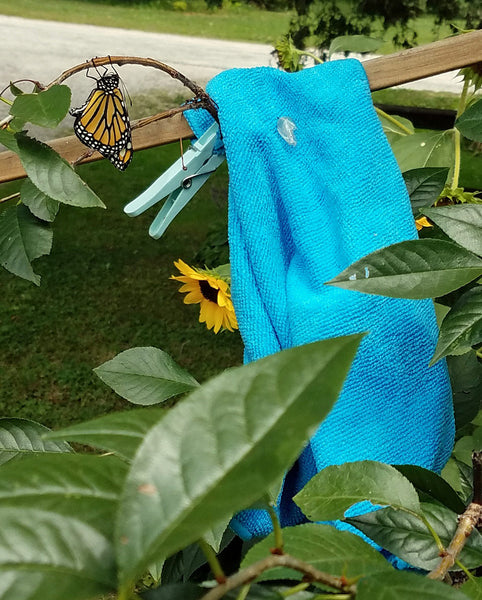 Rehang Chrysalis on Microfiber- Raise the Migration 21 Results