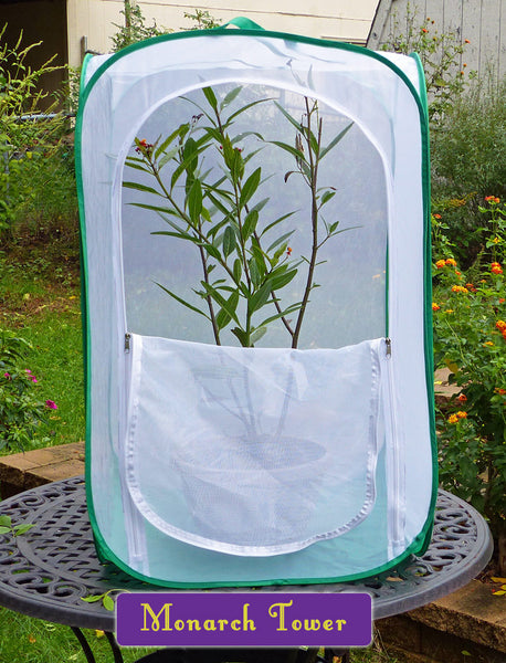 Large Caterpillar Cage Idea for Raising Monarch Butterflies