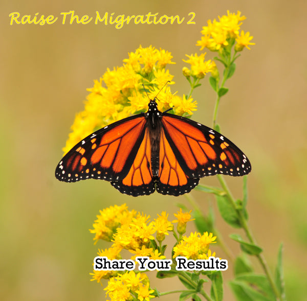 Raise Hope for the 2014 Monarch Migration- Share Your Raise The Migration 2 Results