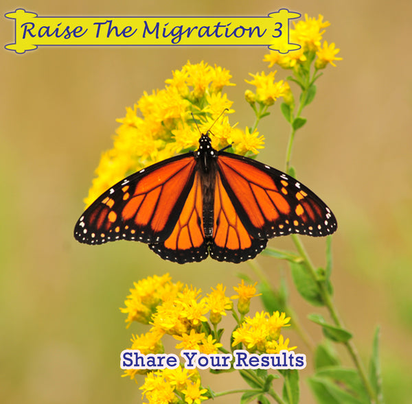 Raise The Migration 3- Share Your Results, Stories, and Photos