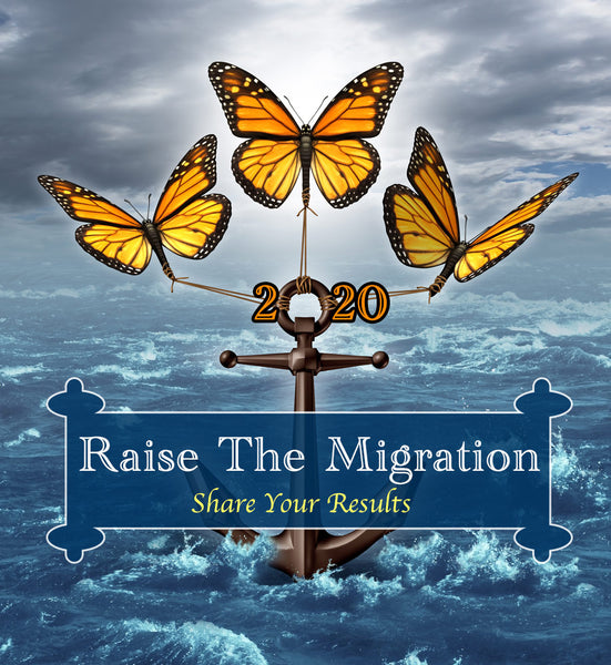 Raise the Migration 2020- Share Your Raising Monarch Butterflies Experience