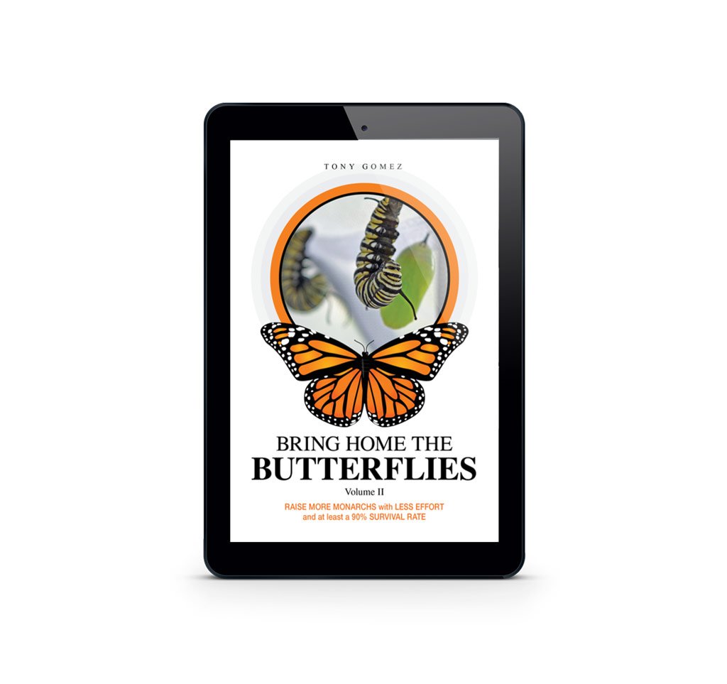 How To Raise Monarch Butterflies Book- Instant Download