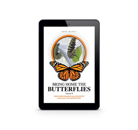 Monarch Butterfly Pin – Tree of Life Nursery