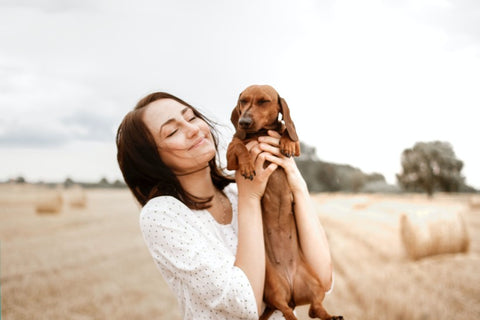 Hunde Körpersprache