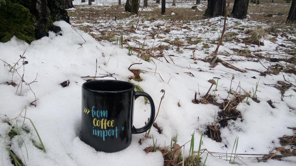 Nerdlettering Python mug with "from coffee import *" written on it in Siberia