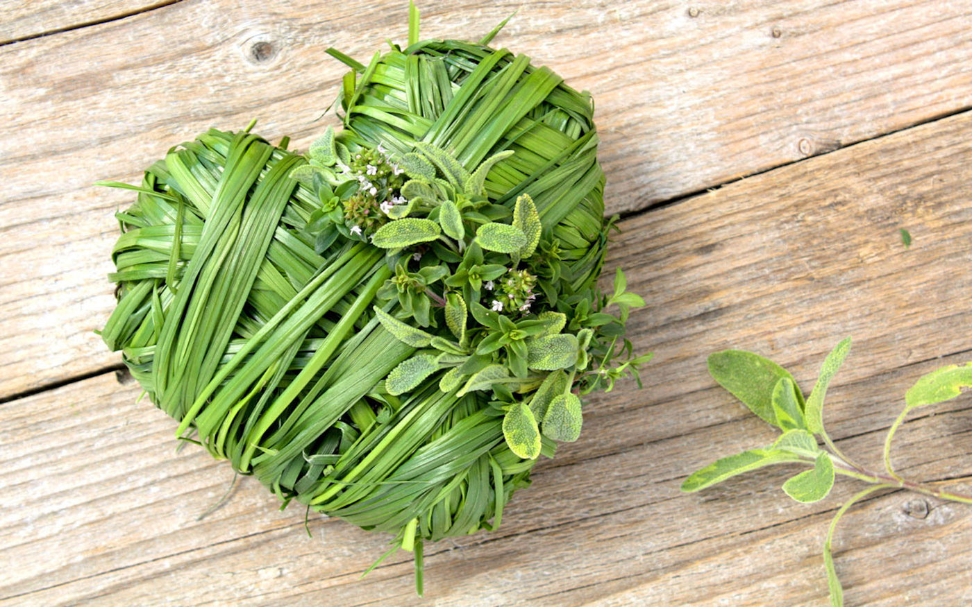 Medicinal plants. Лекарственные травы. Целебные травы. Полезные травы. Зелень.