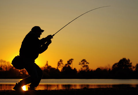 Angler Bass Fishing