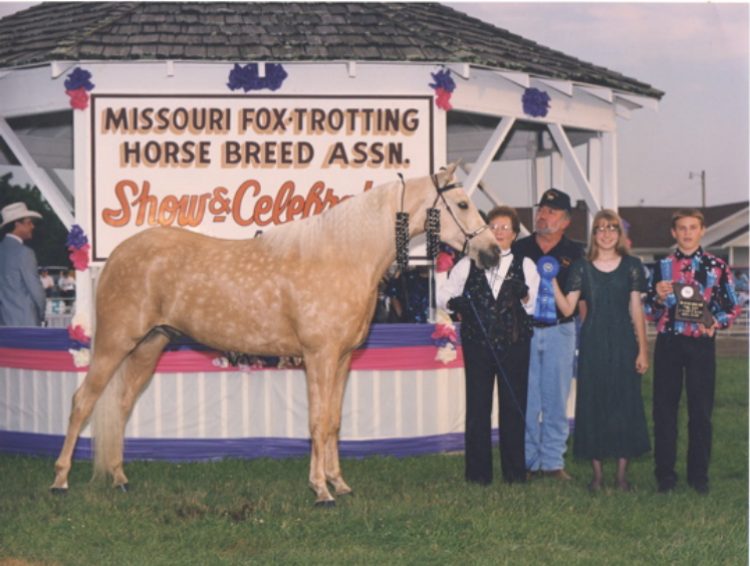 Golden Cloud - 1994 1st Amateur World Grand champion Missouri Fox Trotter