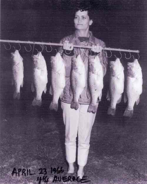 On April 23, 1966 Ellie Polk caught these seven bass on a Bassman Spinner Bait while bank fishing a private pond in Northern Mississippi that weighted an average of 4 1/4 pounds.