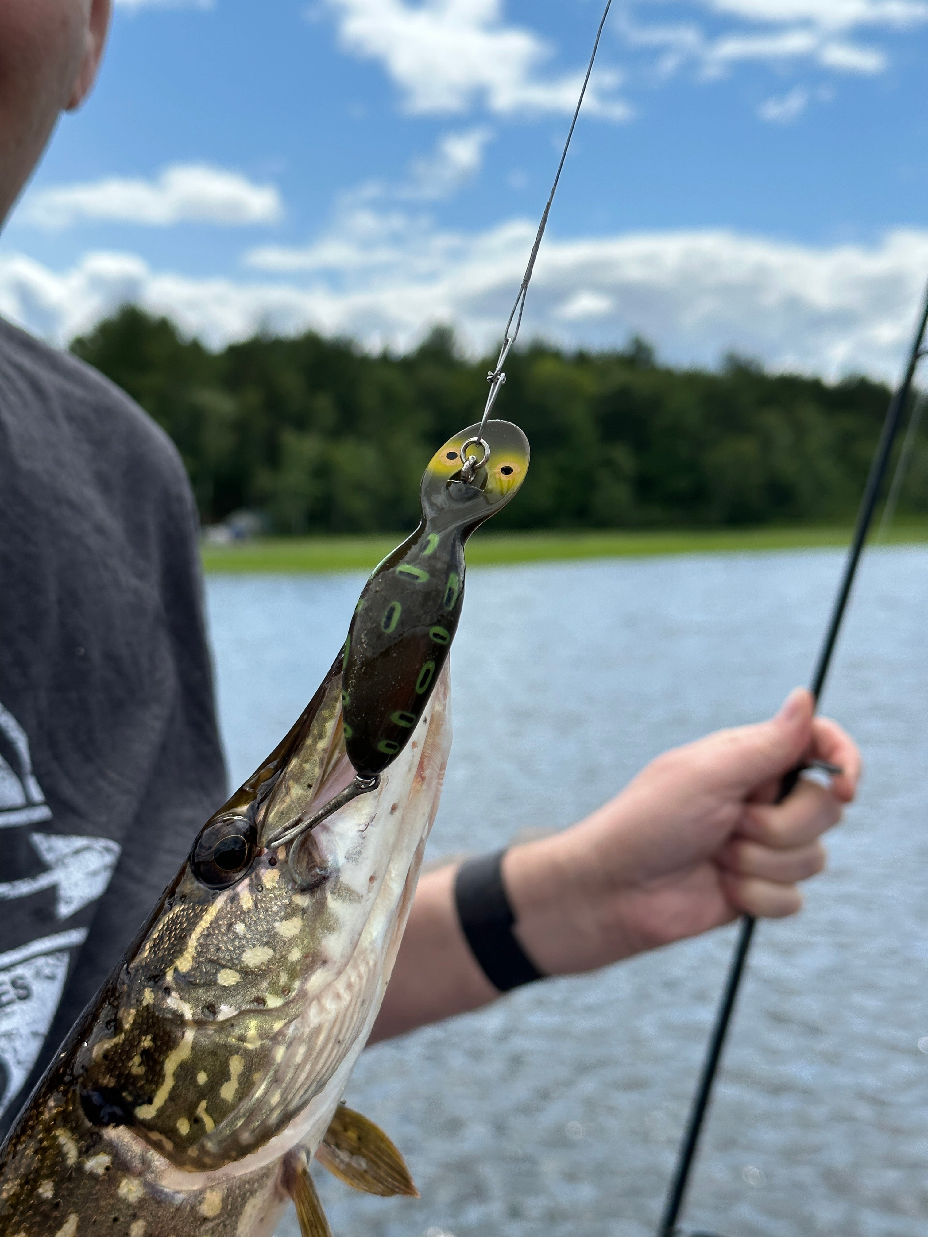 Heddon Tadpolly in mouth of Northern Pike