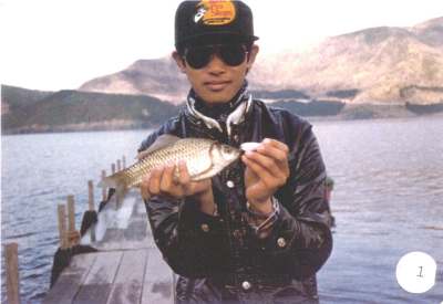 Mr. Hiroshi Yamazaki - In this photo Mr. Hiroshi is 18 years old.  He is the 1980 Junior champion on Lake Ashinoko for angling a 15-3/4" Rainbow Trout.   Mr. Yamazaki is holding a fish called "Funa".   The Funa belongs to the Carp family.