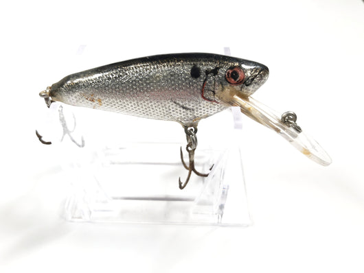 shad lure bait shop