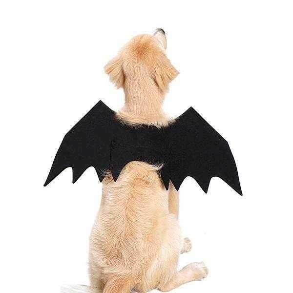 Dog Bat Wings Halloween Costume – DoggyTopia