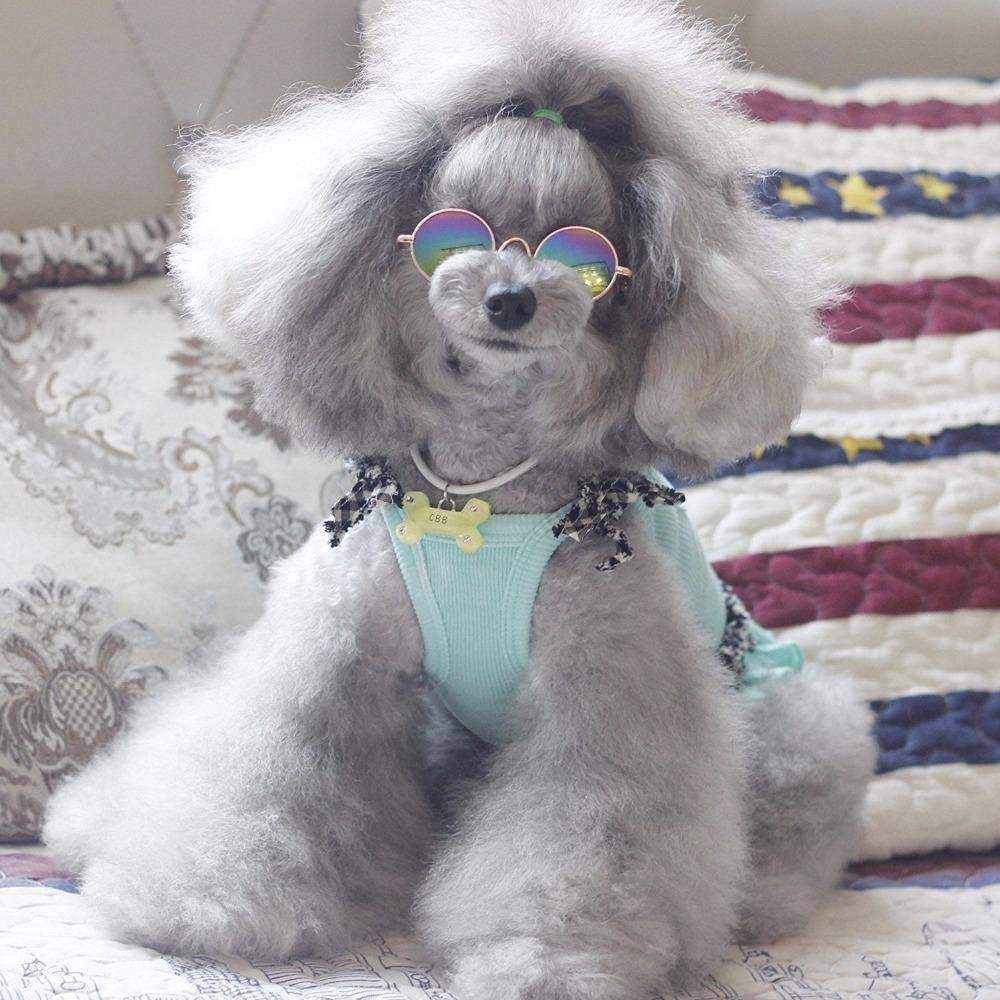 Dog Fashion Sunglasses-DoggyTopia